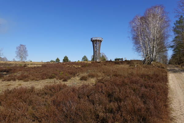 Der Heideturm bei Pfalzheim in der Kyritz-Ruppiner Heide.