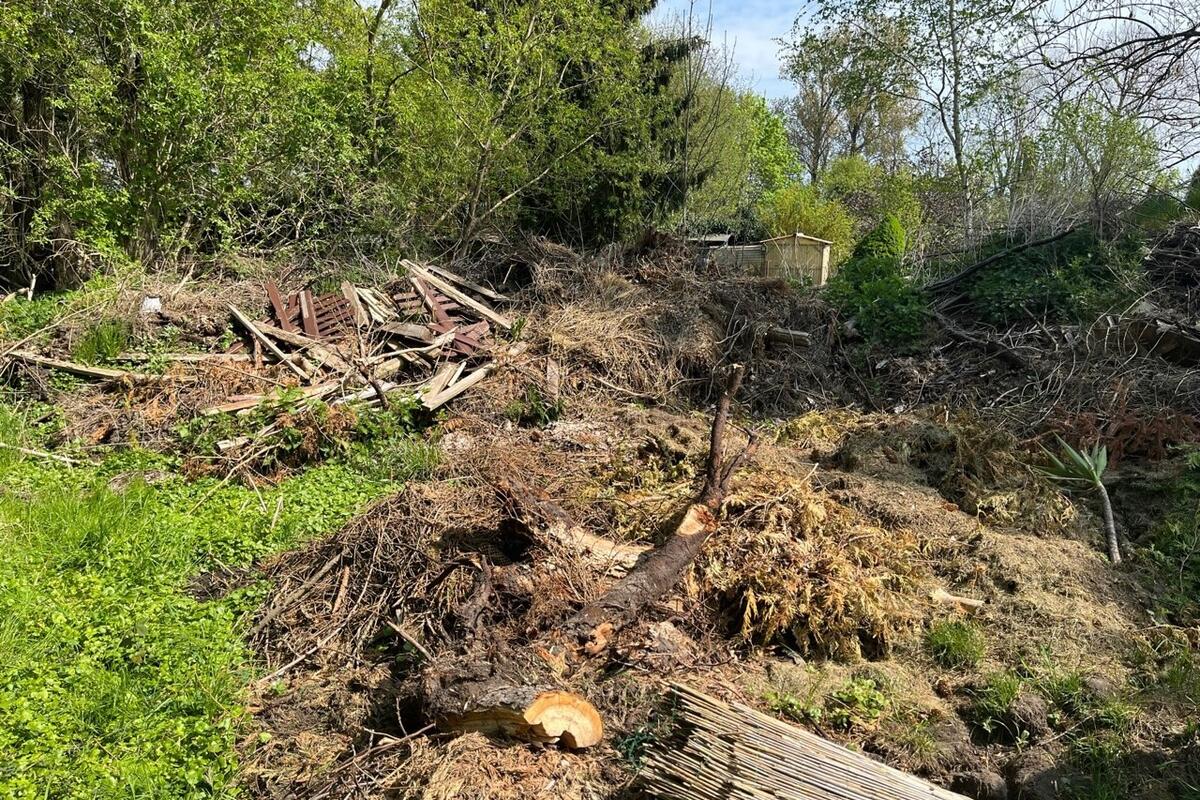 Trauriger Anblick: Gartenabfälle, Baumschnitt, aussortierte Zimmerpflanzen und anderer Müll inmitten der Natur © Landkreis OPR