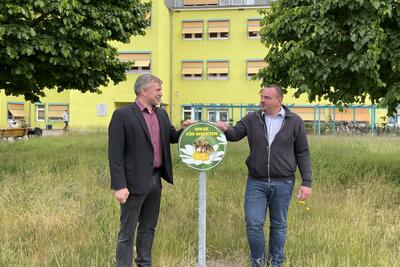 Blühwiesen vor Kreisverwaltung