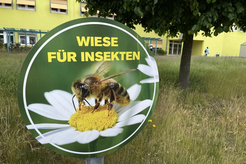 Neue Schilder weisen auf die Blühwiesen vor der Kreisverwaltung hin. © Landkreis OPR