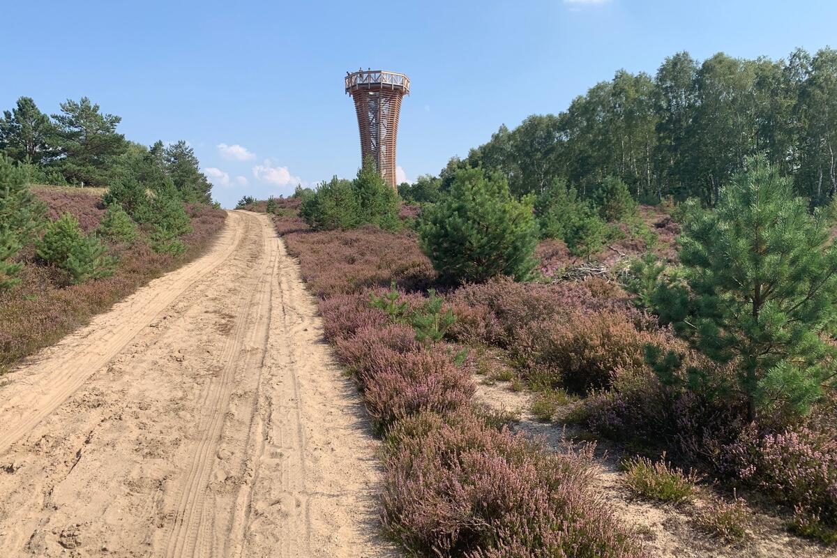 Eine Attraktion in der Kyritz-Ruppiner Heide: Der 2019 eröffnete Heideturm auf dem Heinz-Sielmann-Hügel © Landkreis OPR