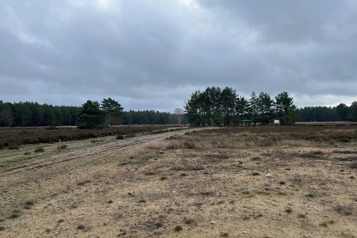Die südliche Kyritz-Ruppiner Heide bei Neuglienicke: Ein größerer Teil des ehemaligen Truppenübungsplatzes kann nunmehr betreten werden. © Landkreis OPR
