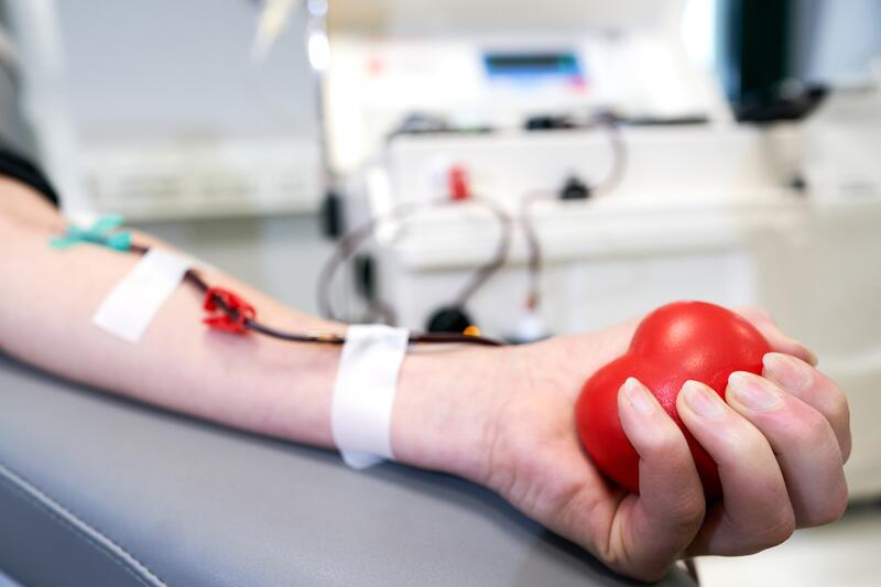 Es werden Blutspenden benötigt. © DRK-Blutspendedienst Nord-Ost