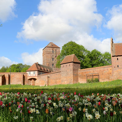 Museen Alte Bischofsburg - Außenmauer mit Burgturm